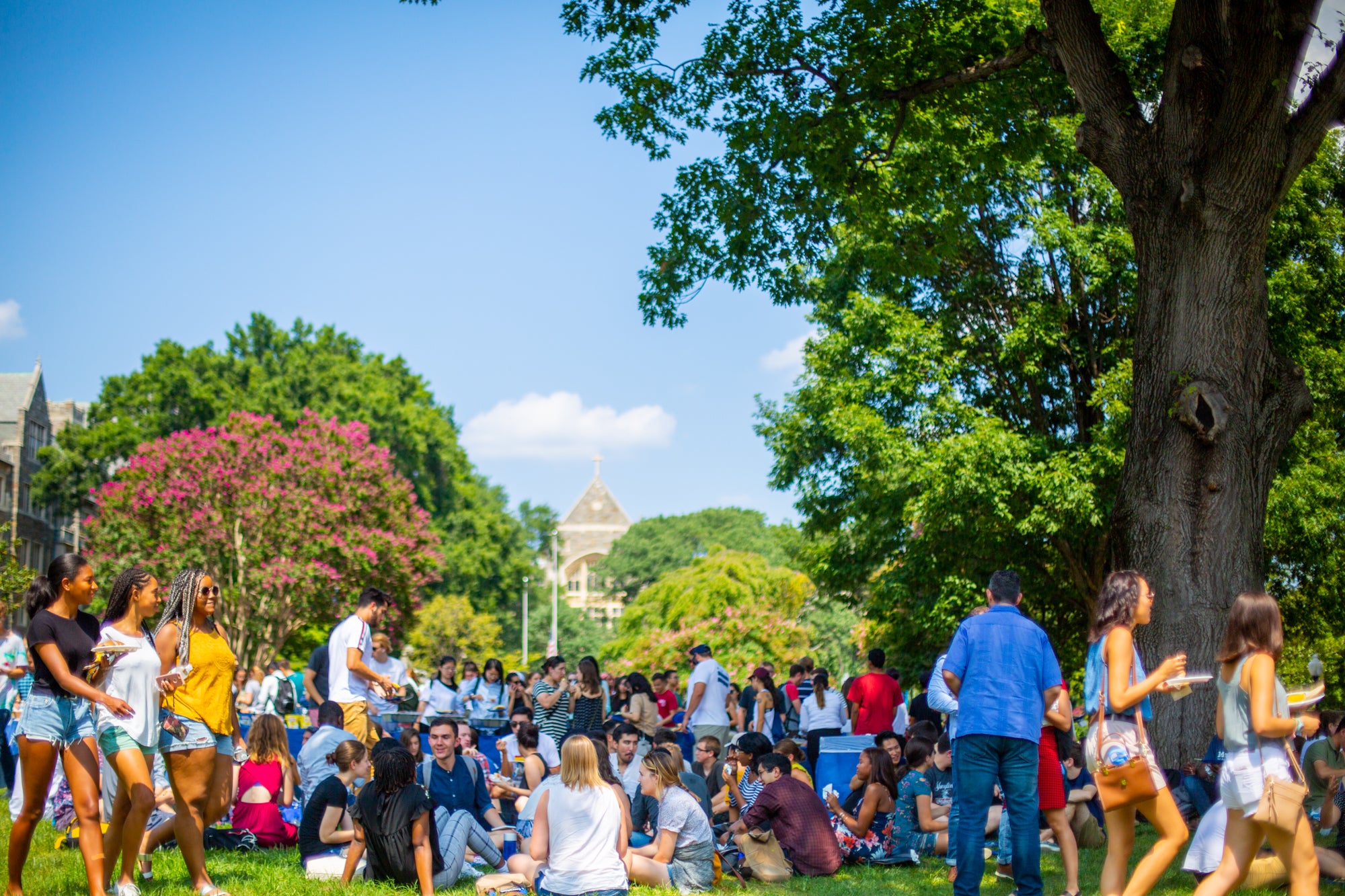 Students are gathered on Copley Lawn.