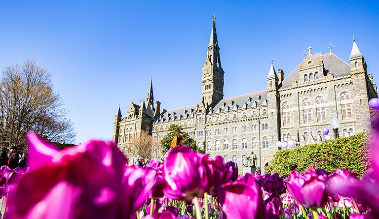 Healy Building from the level of tulips in adjacent garden