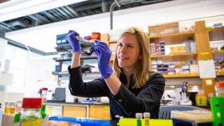 Sarah Johnson works in her lab.