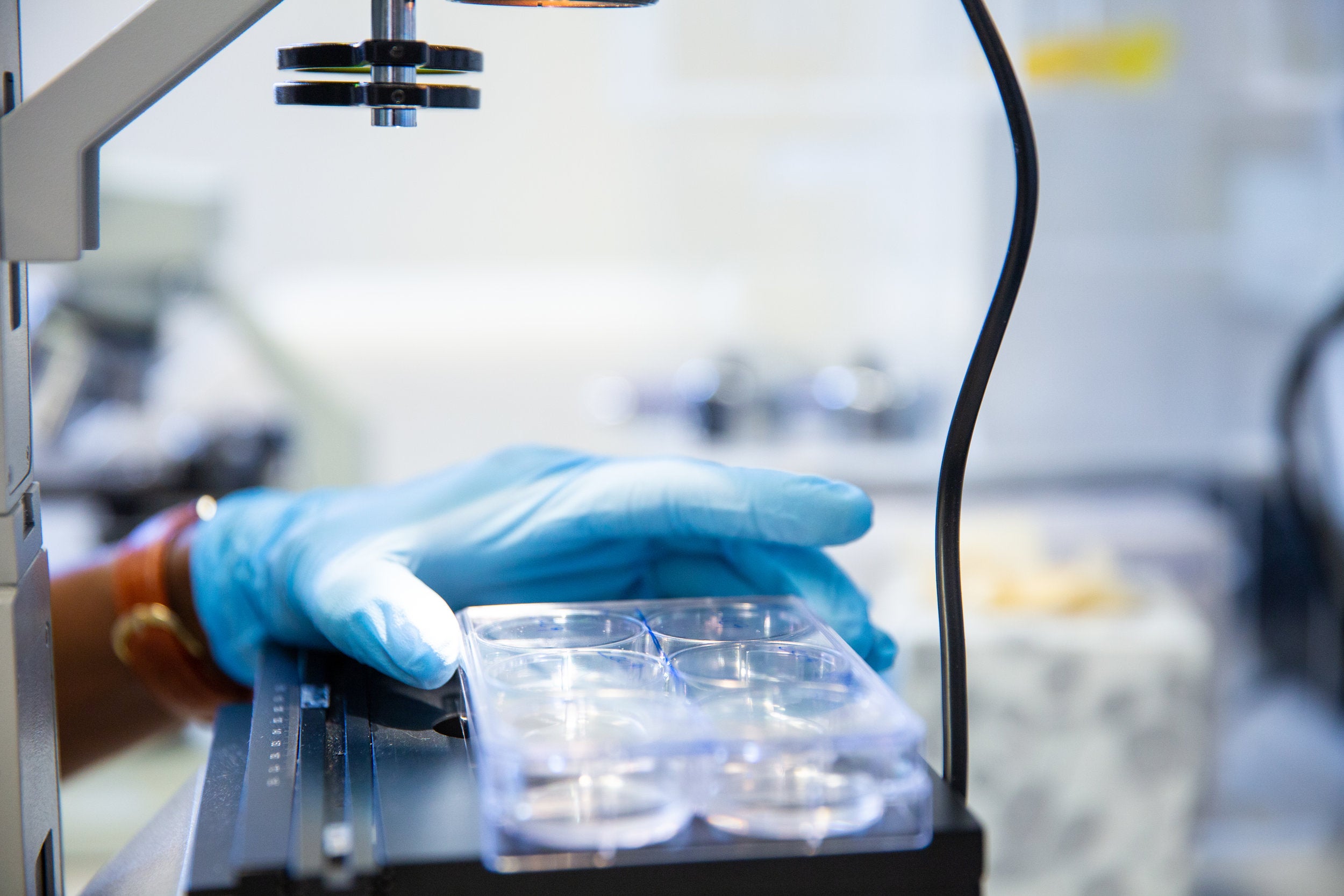 A scientist looks at test tubes.