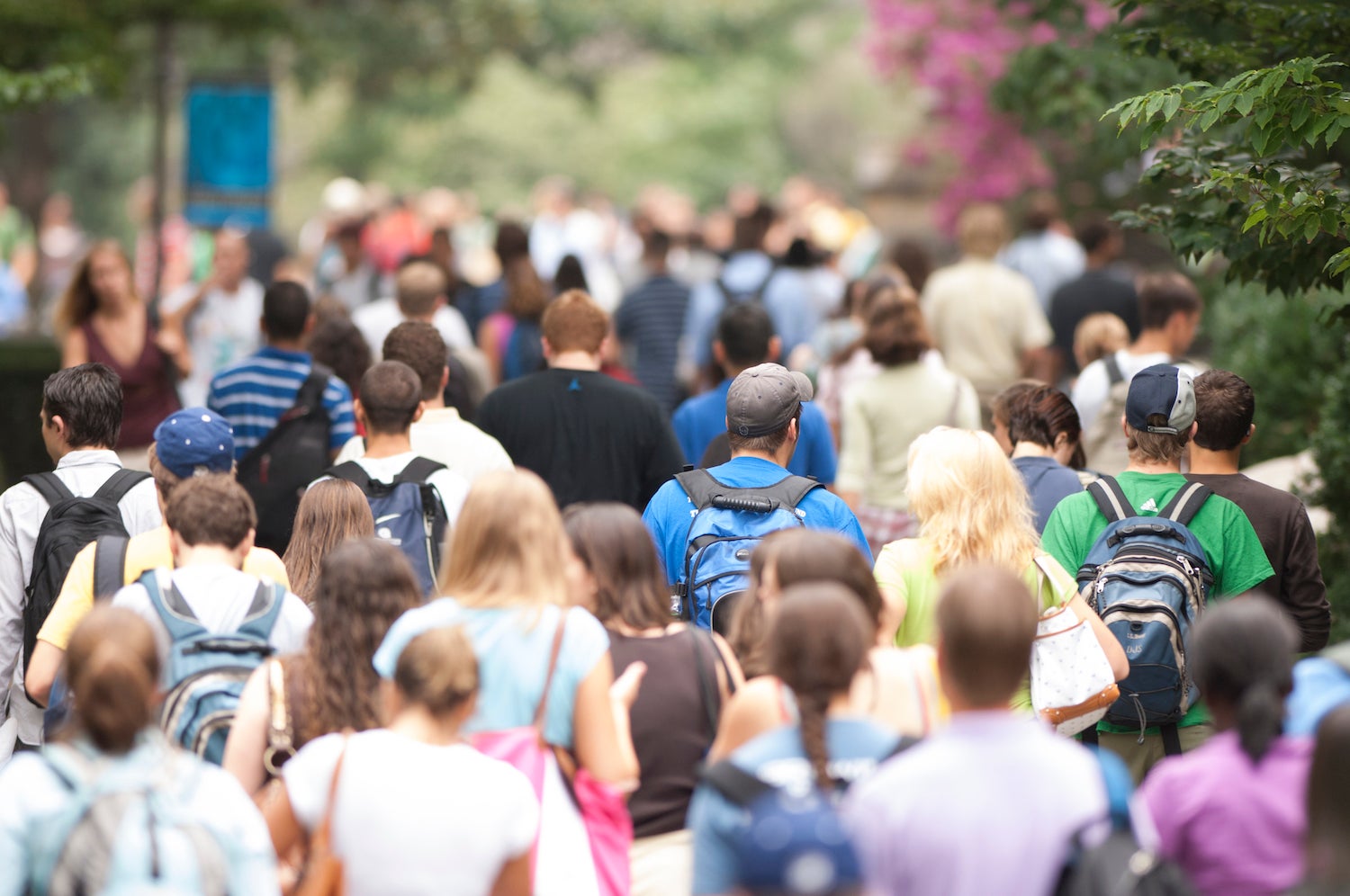 A large crowd of students walks down Copley Walk