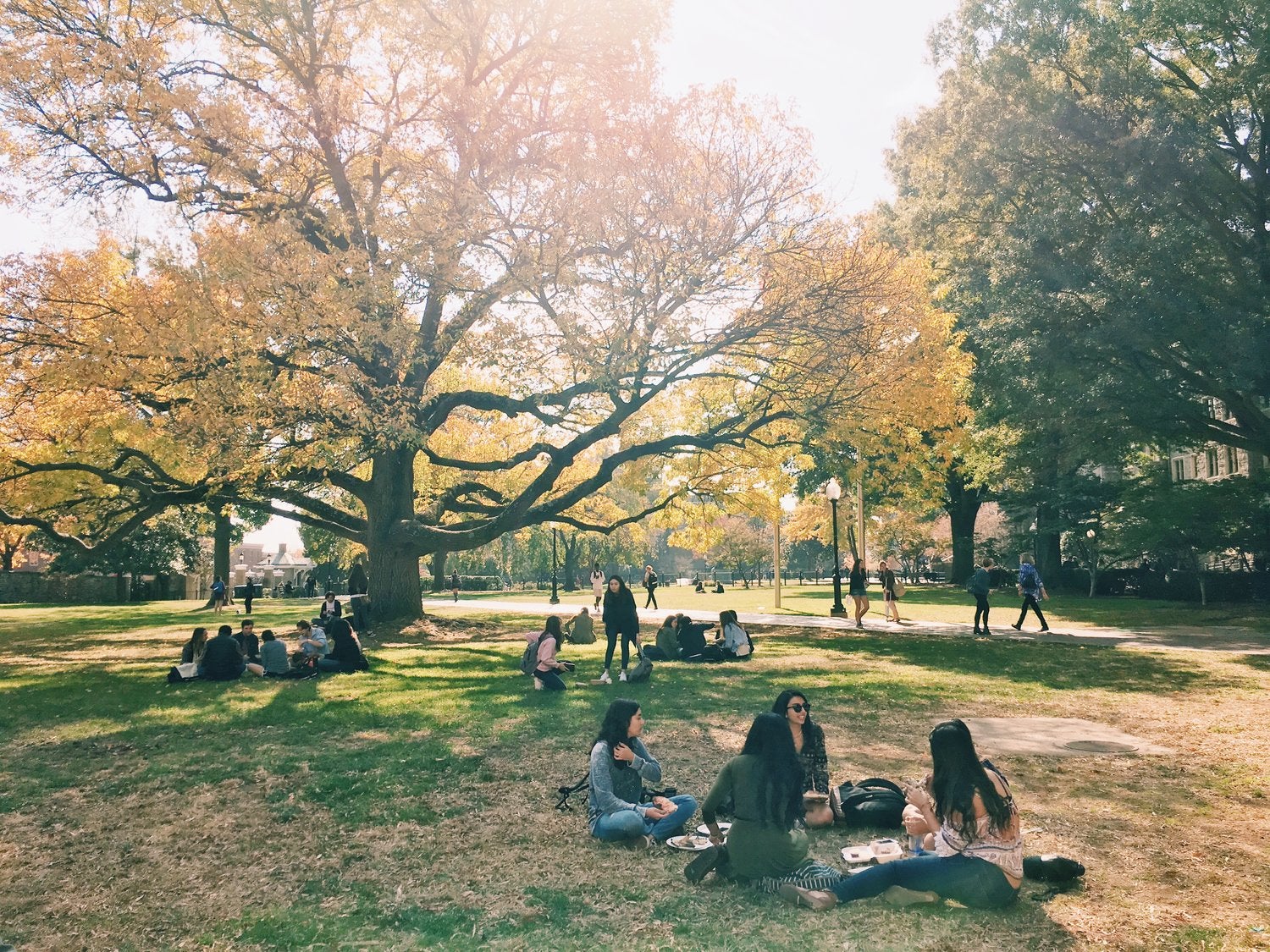 Students lounge on the lawn in autumn