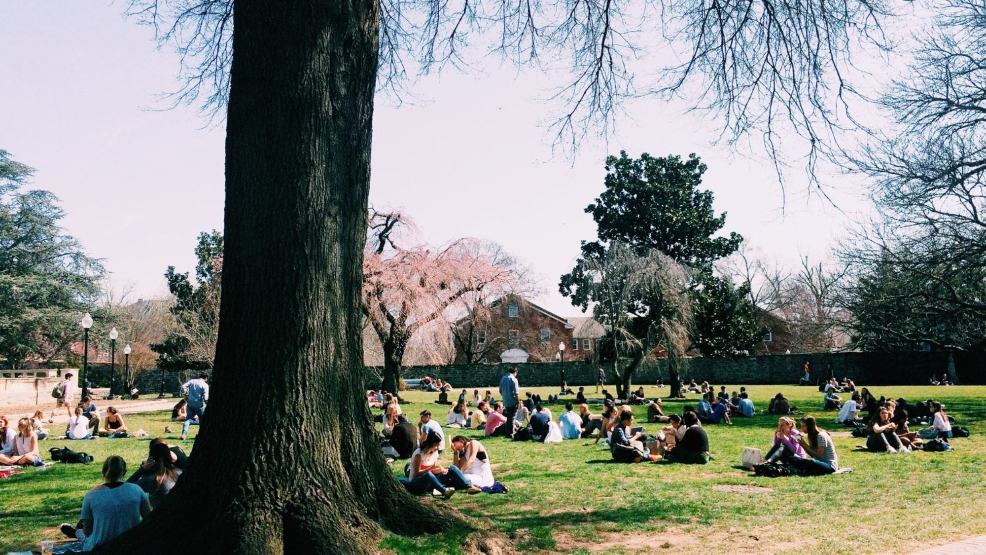 Students sit on Healy Lawn