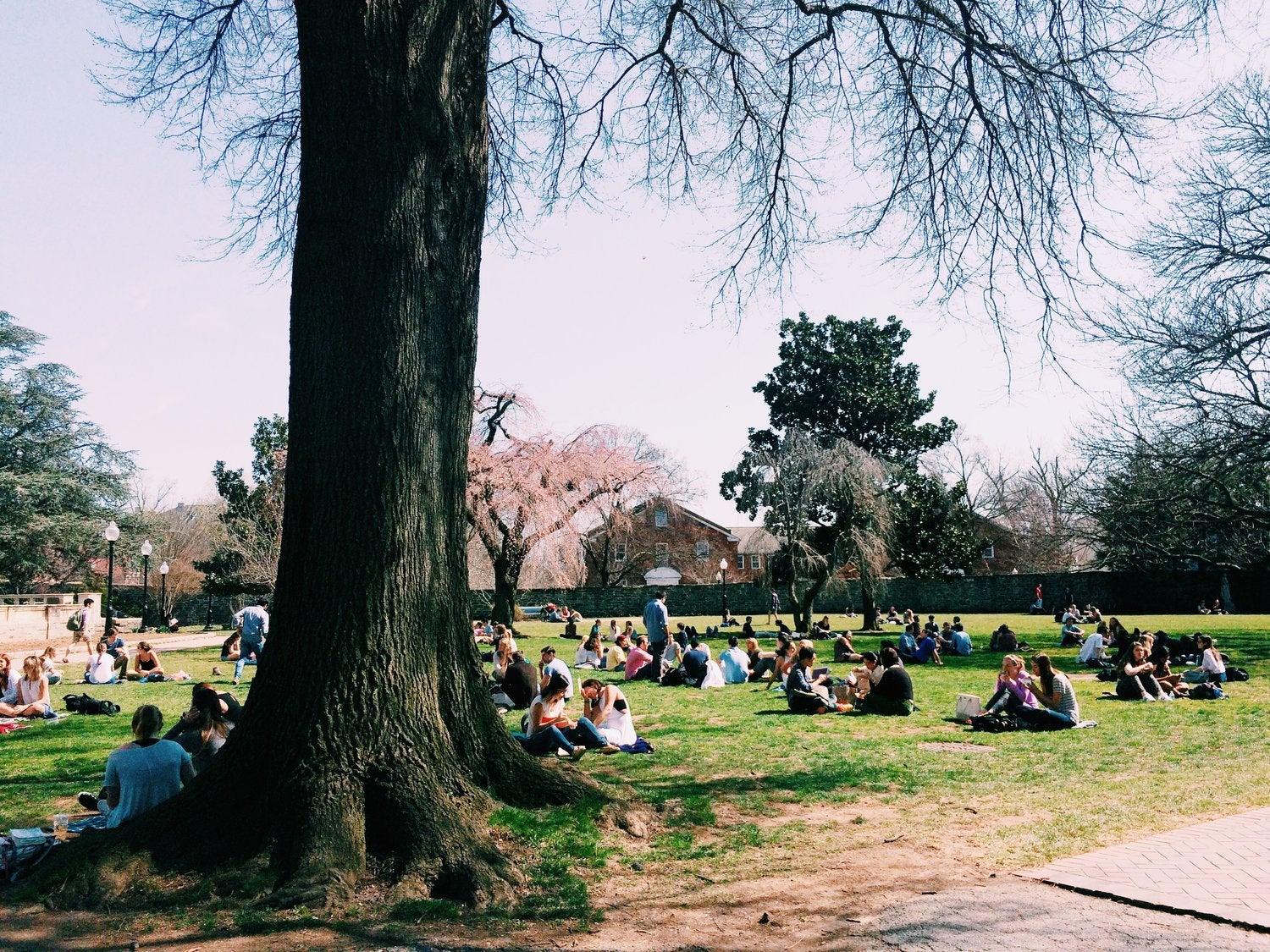 Students sit on Healy Lawn