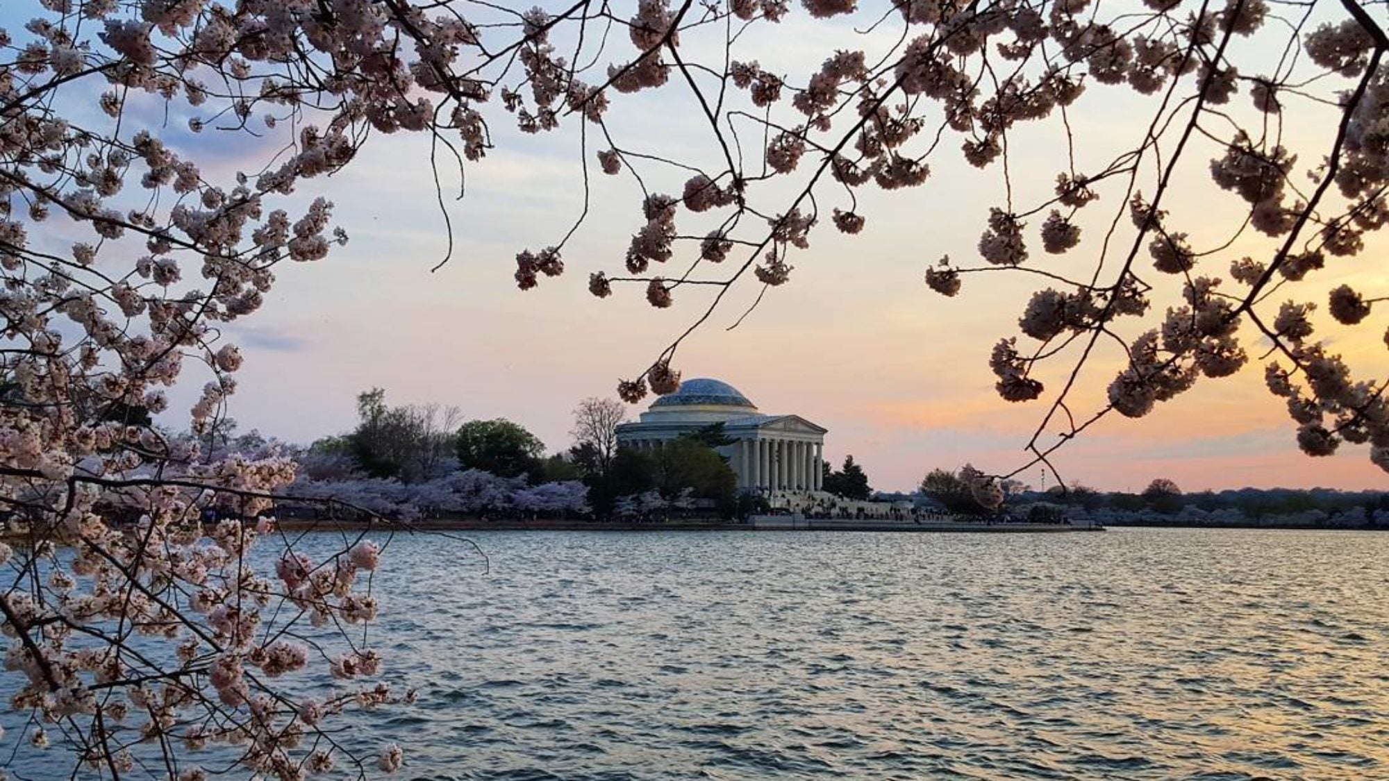 Jefferson Memorial at sunset