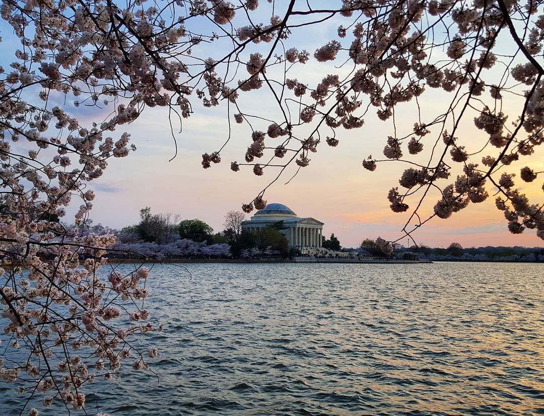 Jefferson Memorial at sunset