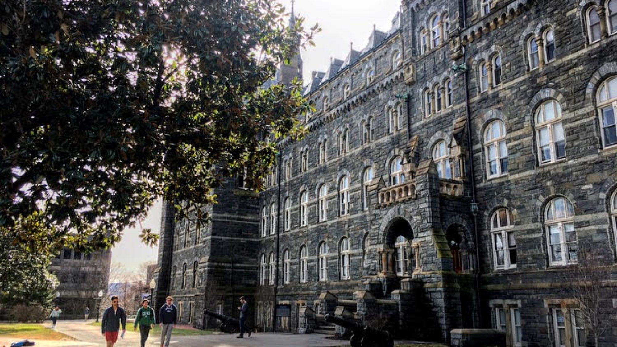 Healy Hall rises above the front lawn