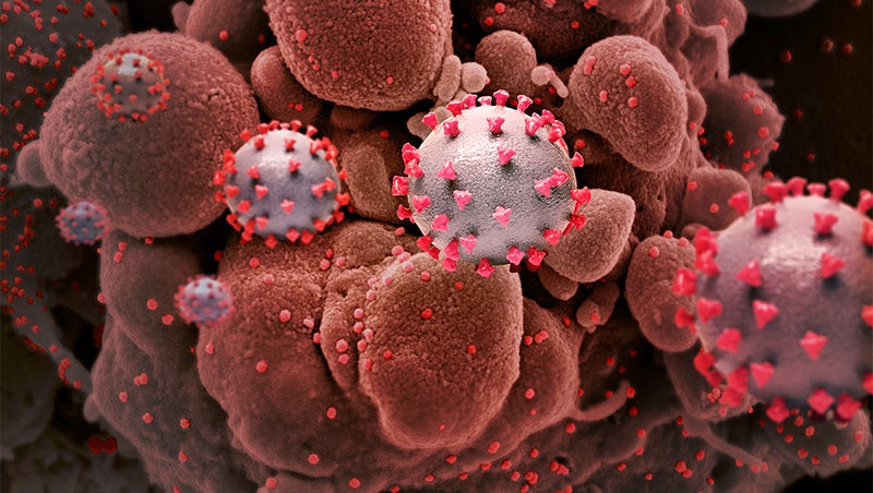 Close up of the COVID-19 virus particles