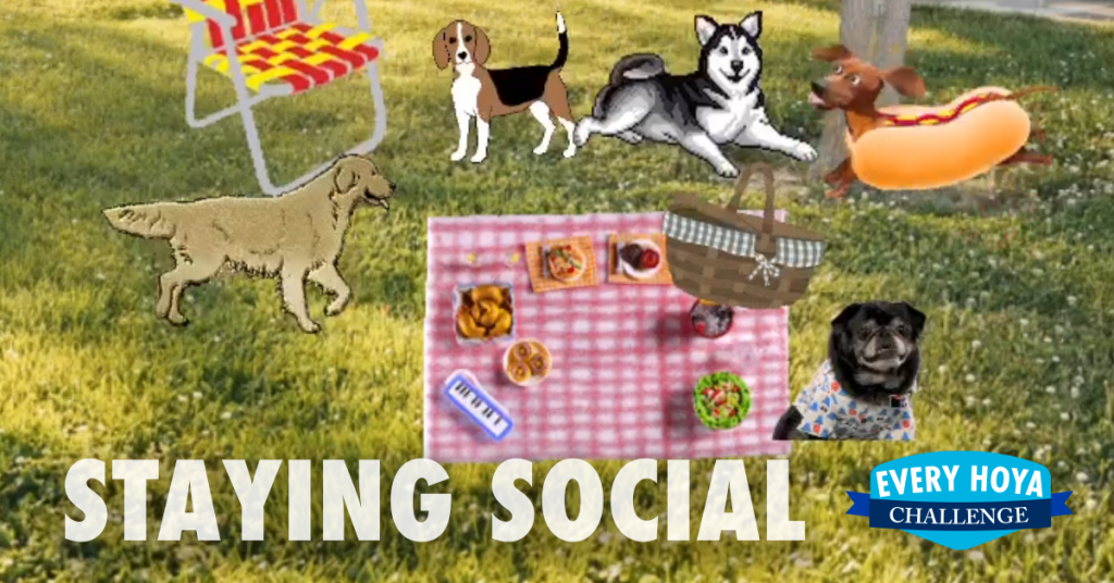 A photo of a lawn with graphics of a picnic blanket and dogs. Text says "Staying Social" and "Every Hoya Challenge."