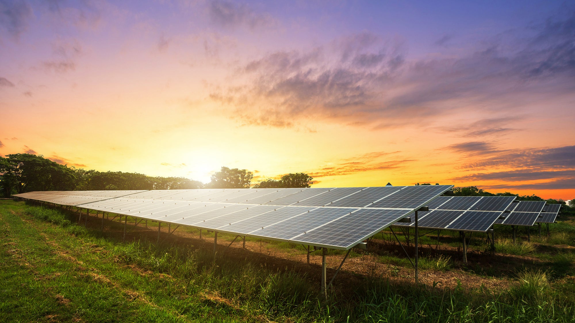 Solar panels in a field as the sun sets