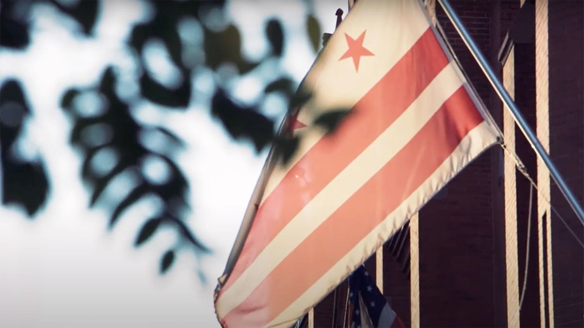 A DC flag hangs outside.