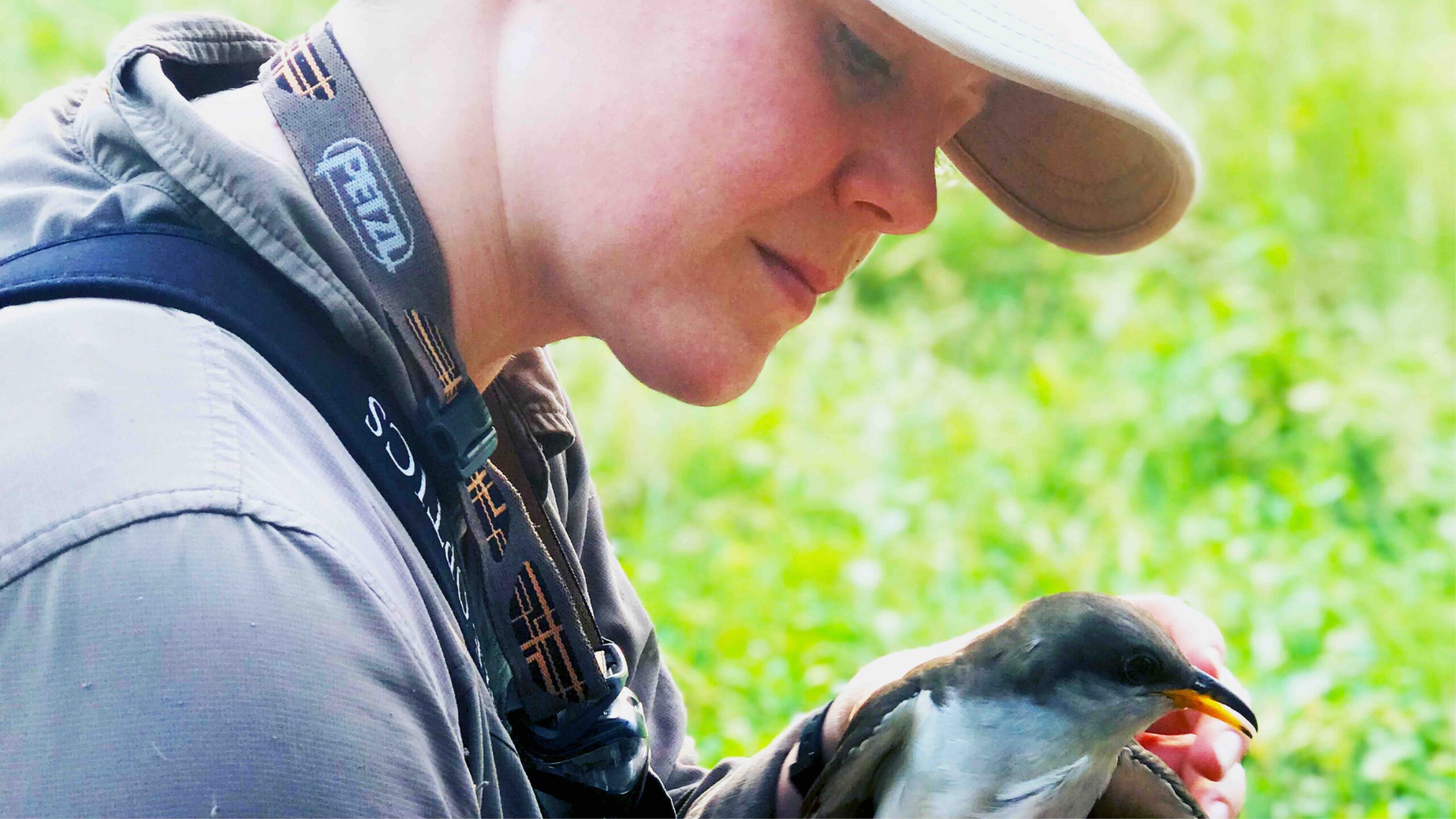 Calandra Stanley holds a bird outside.