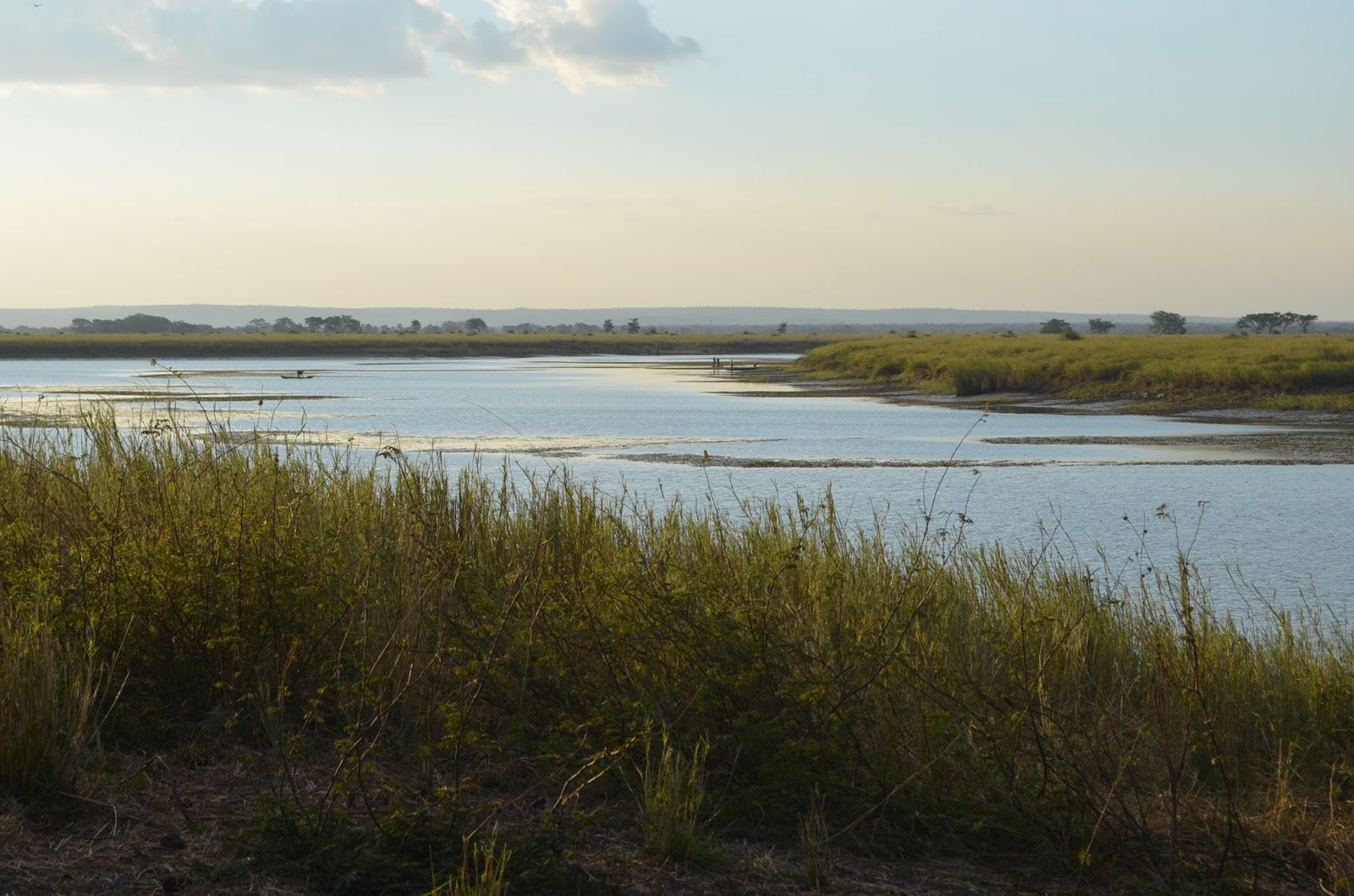 Kafue floodplain near Basanga, Central Province, Zambia. Jeffrey Fleisher.