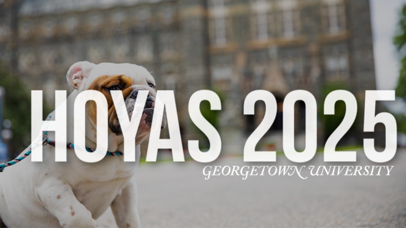 Text: Hoyas 2025 Georgetown University, Image: Jack the Bulldog in front of Healy Hall