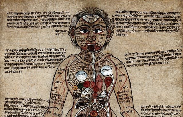 Image of Ayurvedic Man, a gouache with pen and ink painting, c.1800.