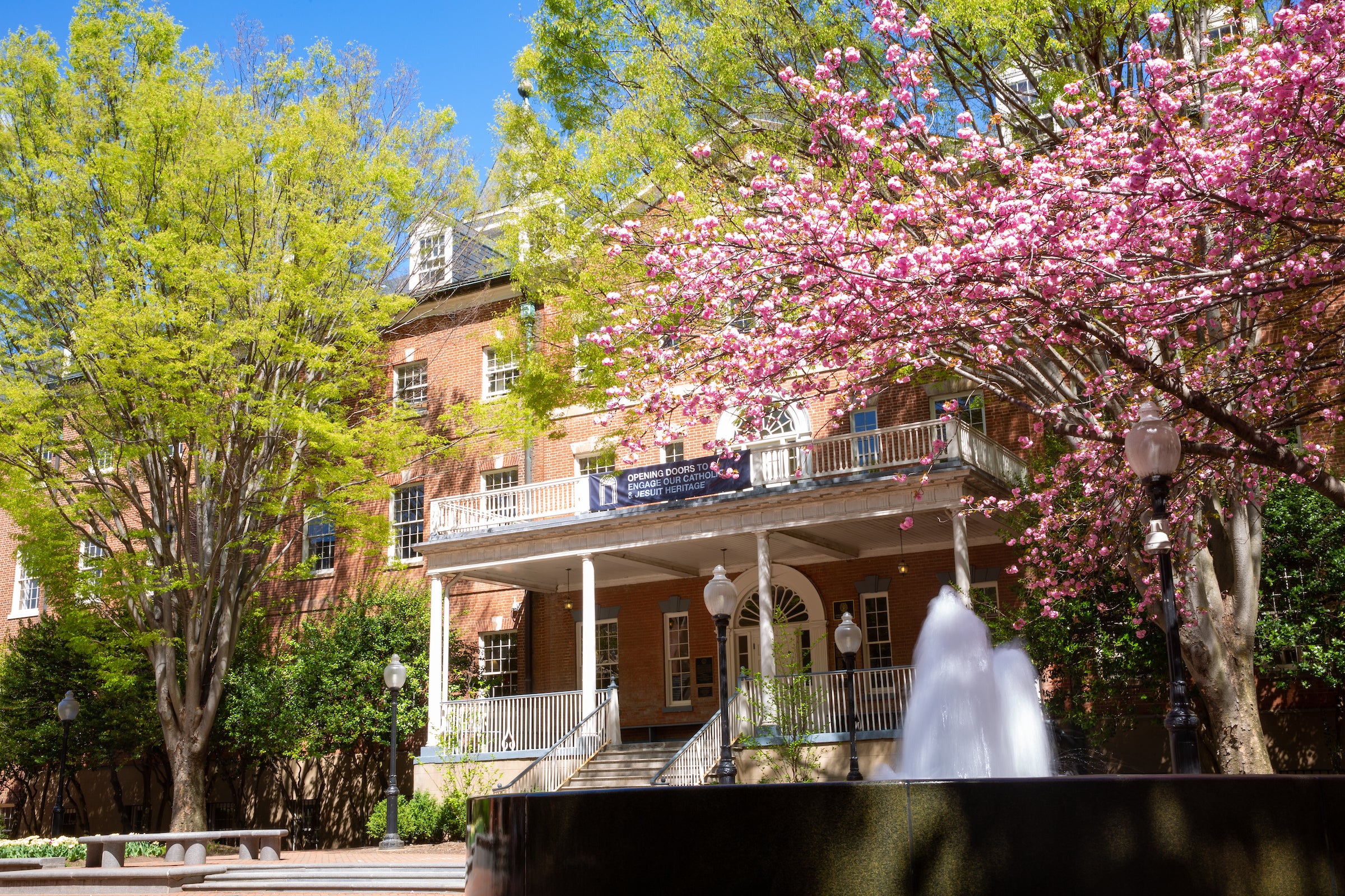 Old North with trees and cherry blossoms blooming