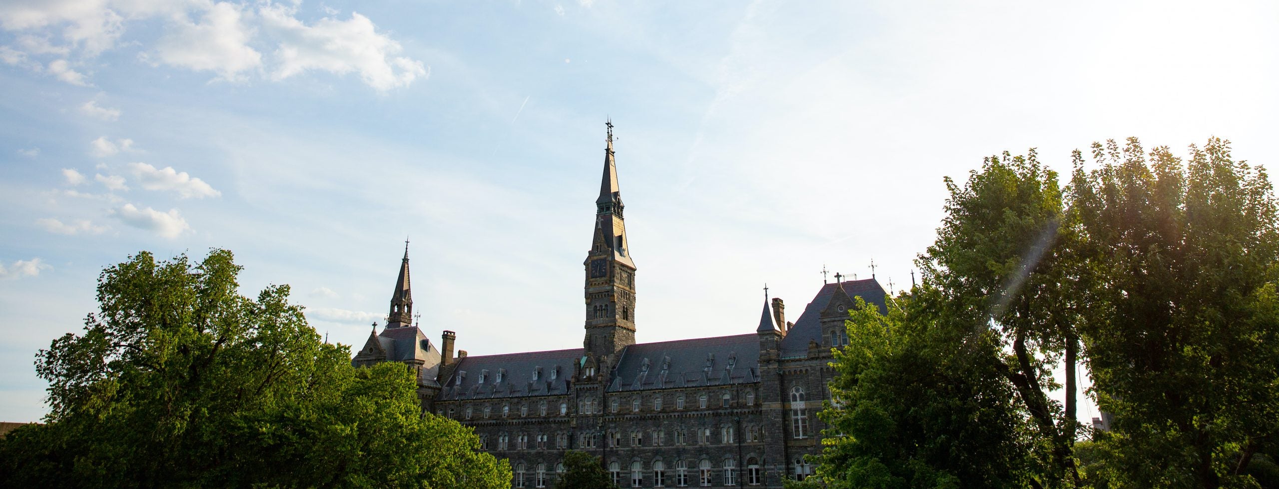 Sun shines behind a tree next to Healy Hall