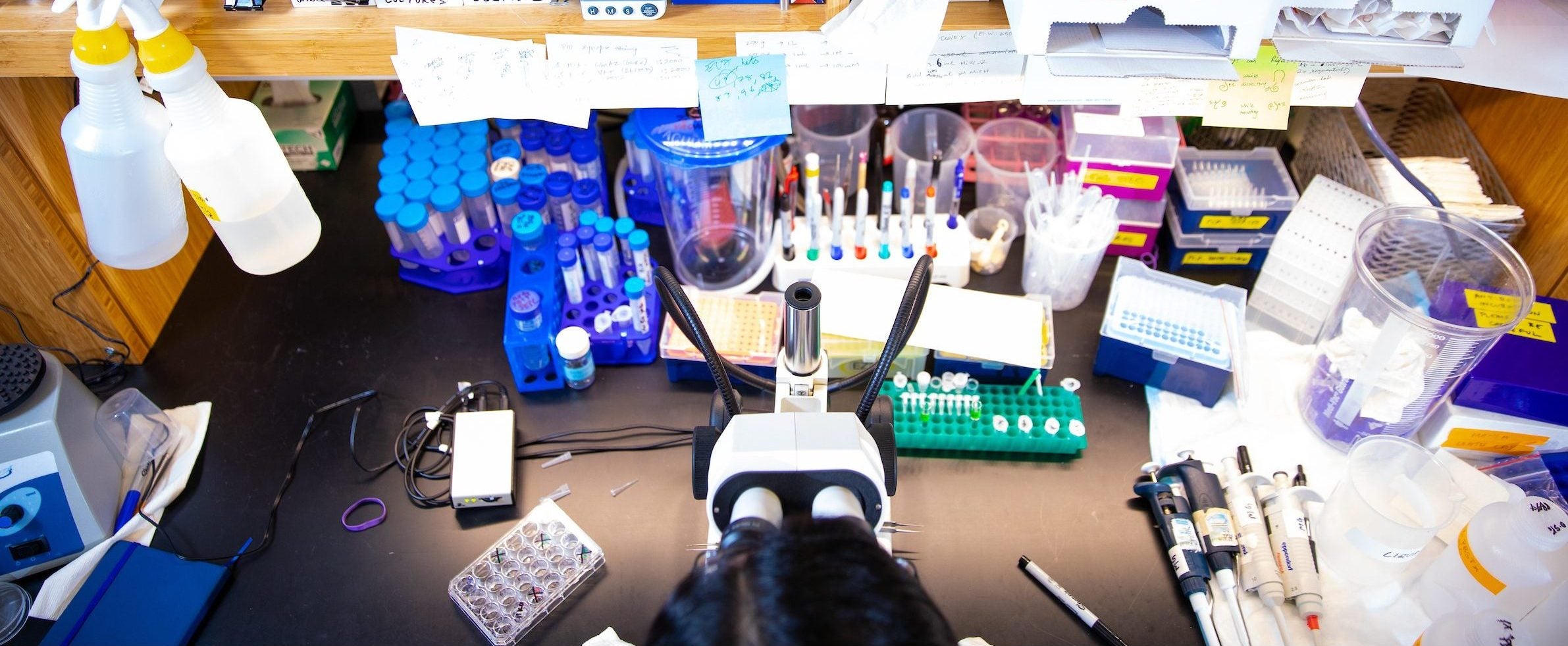 Test tubes and lab equipment on shelves while a person looks into a microscope