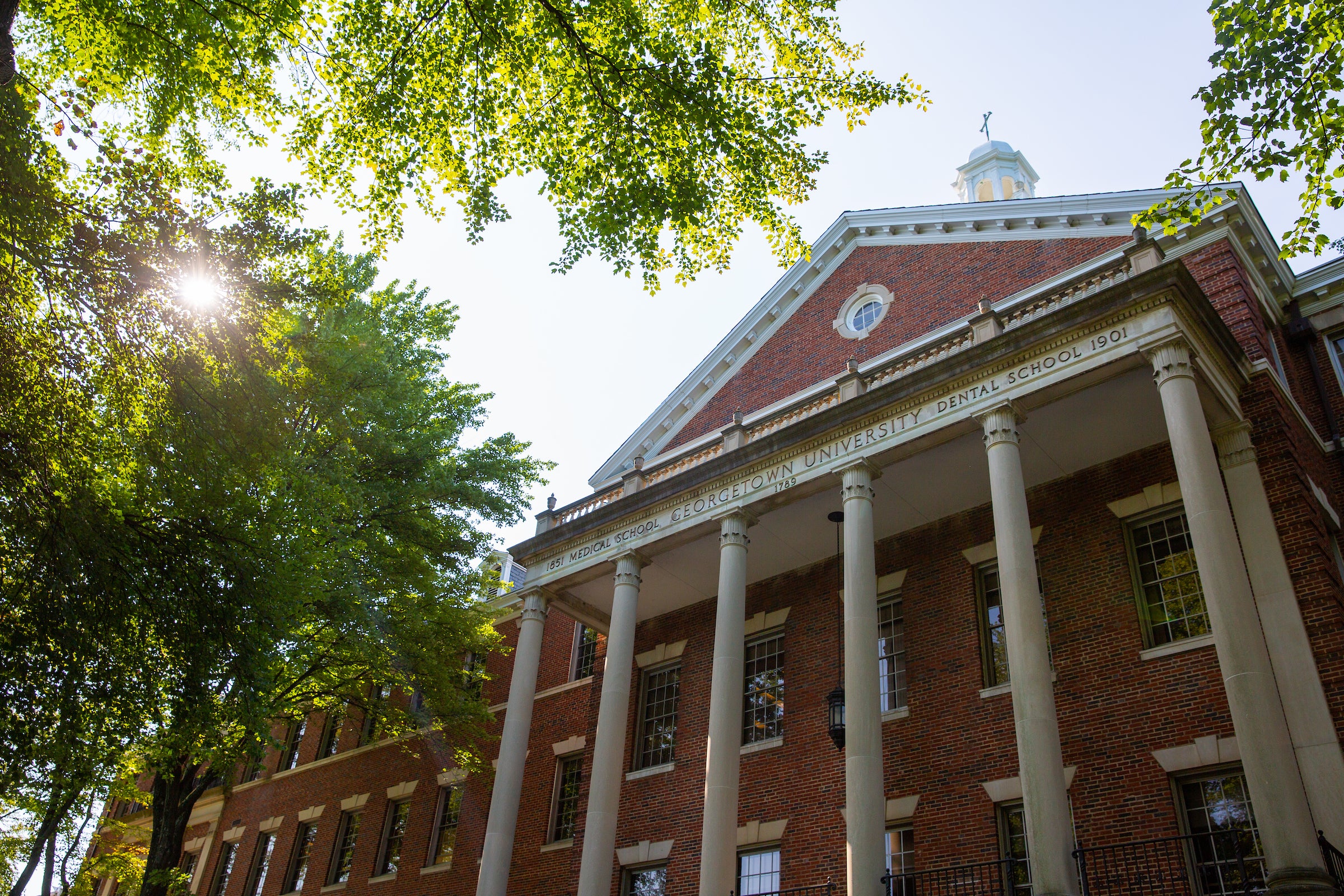 School of Medicine MedDent building with sun shining behind trees