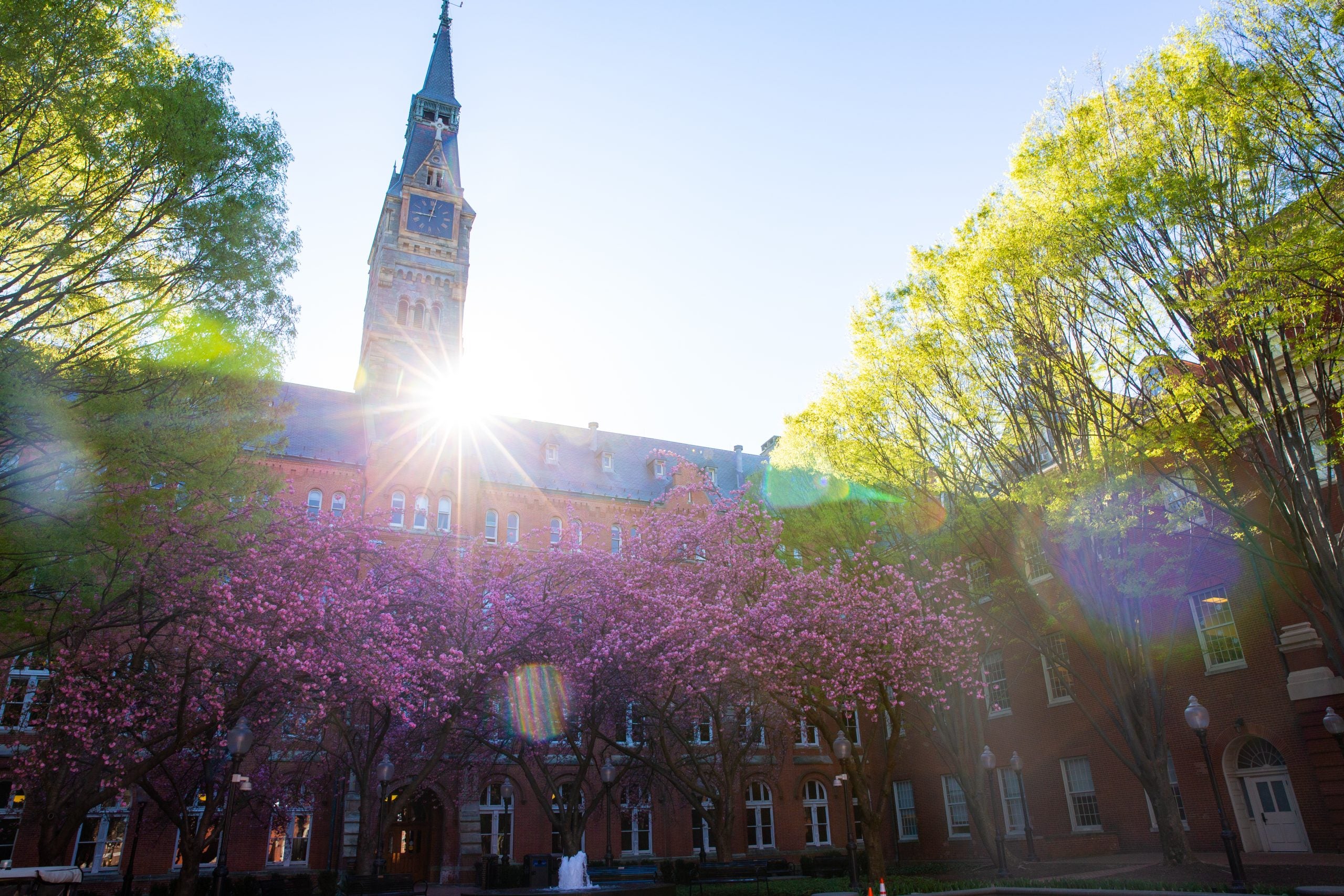 An image of Healy Hall at sunrise.