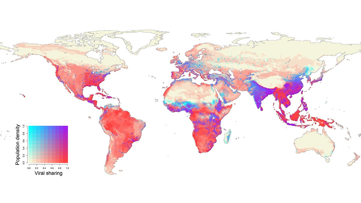 An image of a map that shows how high-density population centers will overlap with viral transmissions from wildlife in 2070.