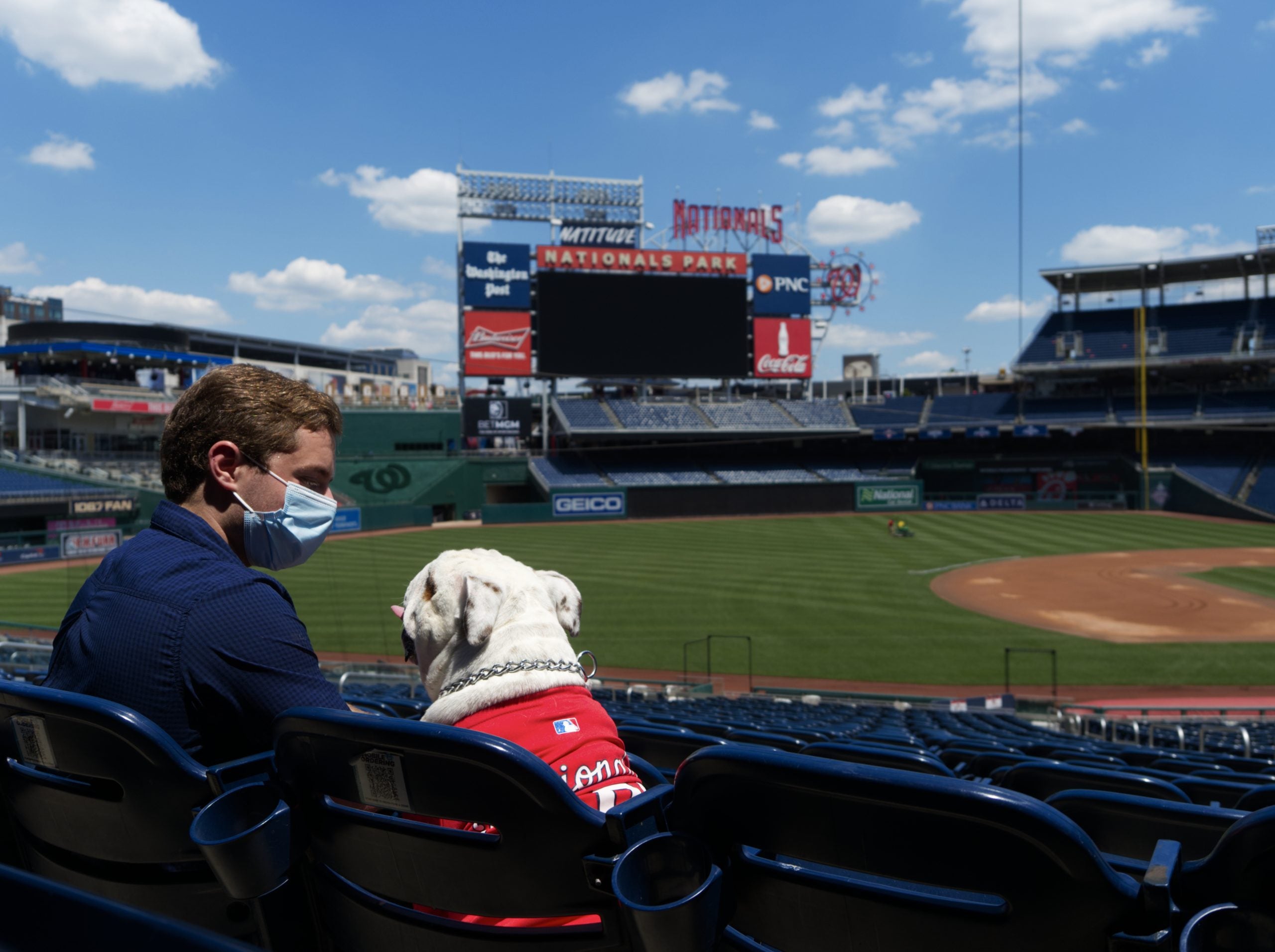 Kirk and Jack the Bulldog alone in the audience of a professional baseball stadium