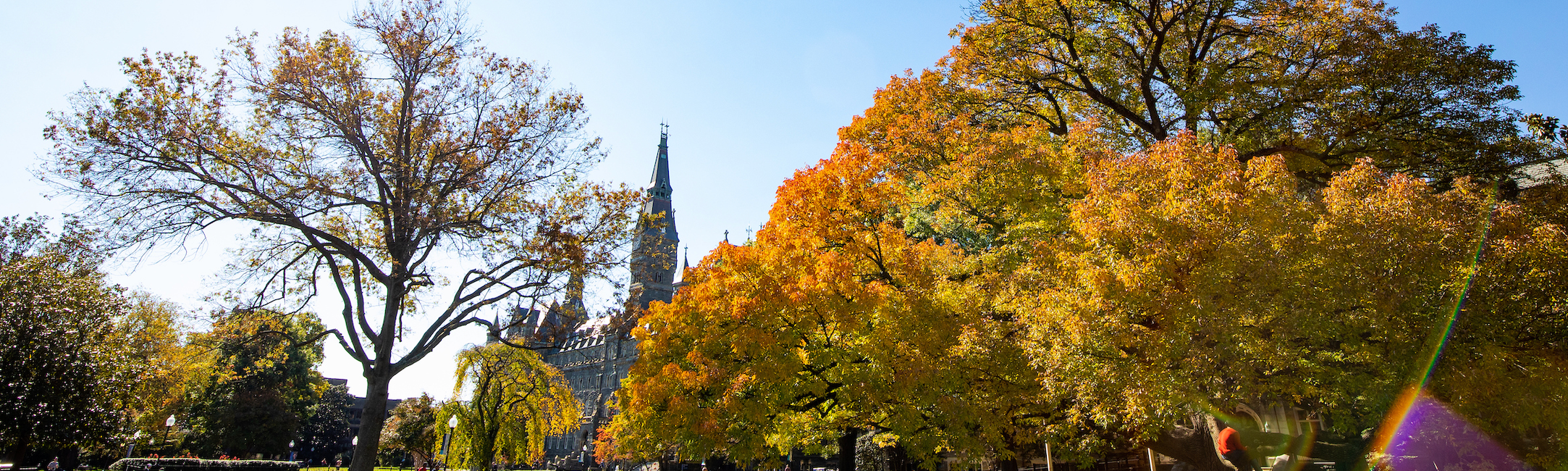 The Healy Hall clocktower seen through trees on campus. The leaves on the trees are orange, slightly green and yellow.