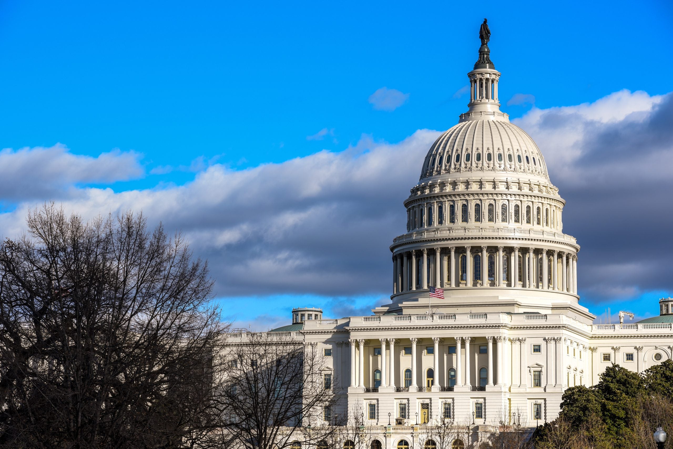 An image of the U.S. Capitol on a bright blue winter day. A blue-purple cloud streaks across the sky behind the Capitol, and a leafless tree is on the building's left.