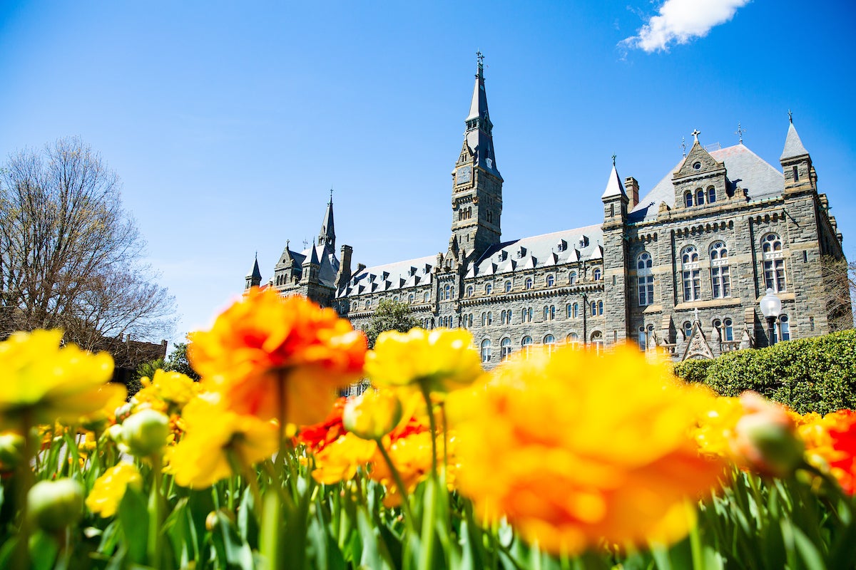 A view of Healy Hall from the ground, which is filled with yellow flowers.