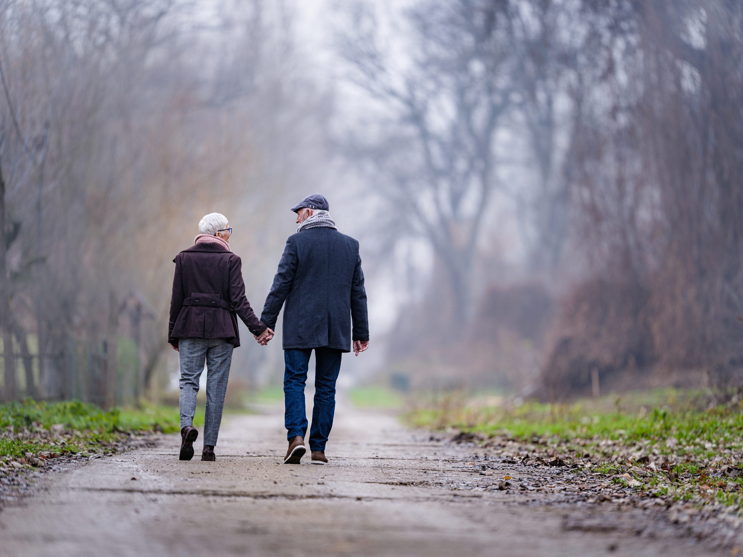 Rear view of happy senior couple talking while holding hands during their winter walk in the park.