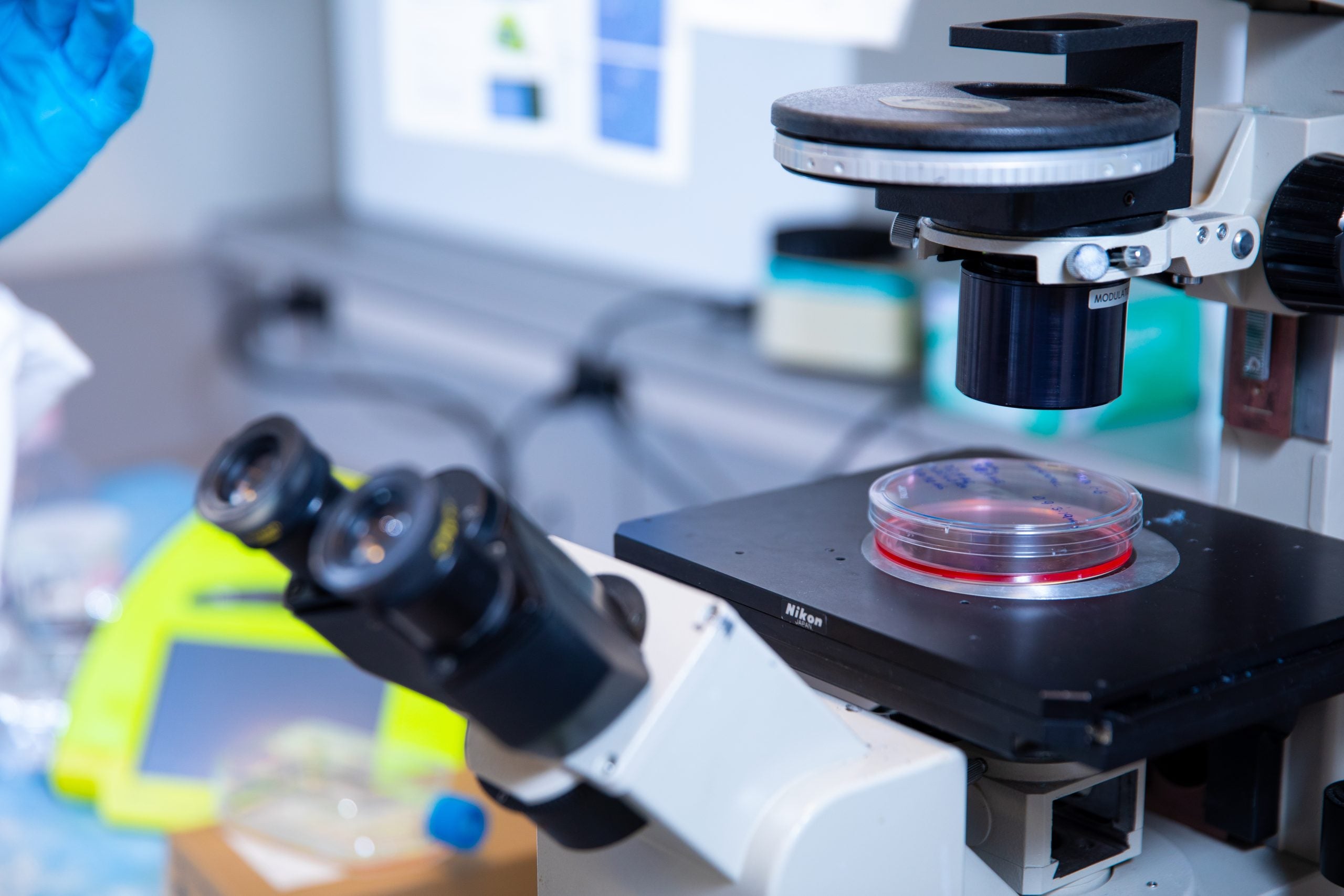 A laboratory setting with a microscope and a petri dish on a stand.