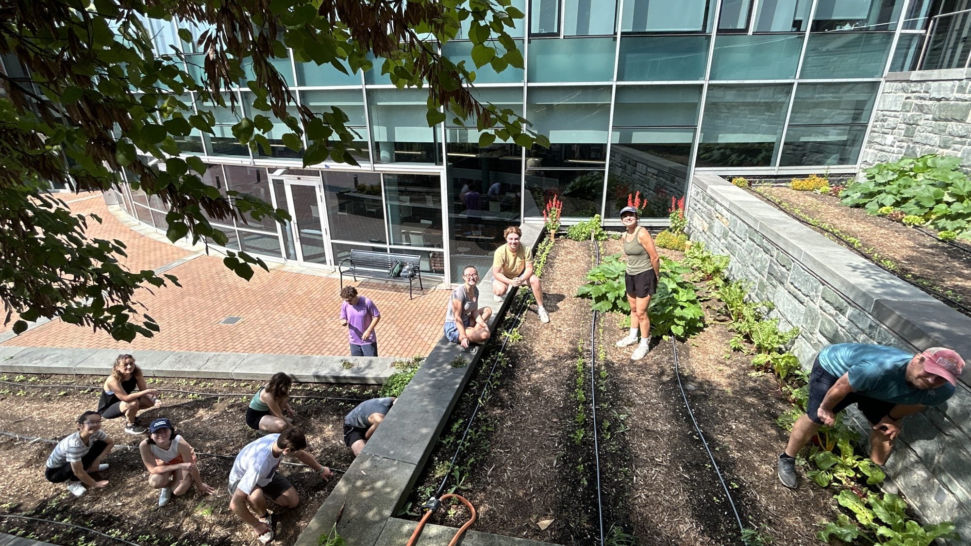 Arial view of campus garden.