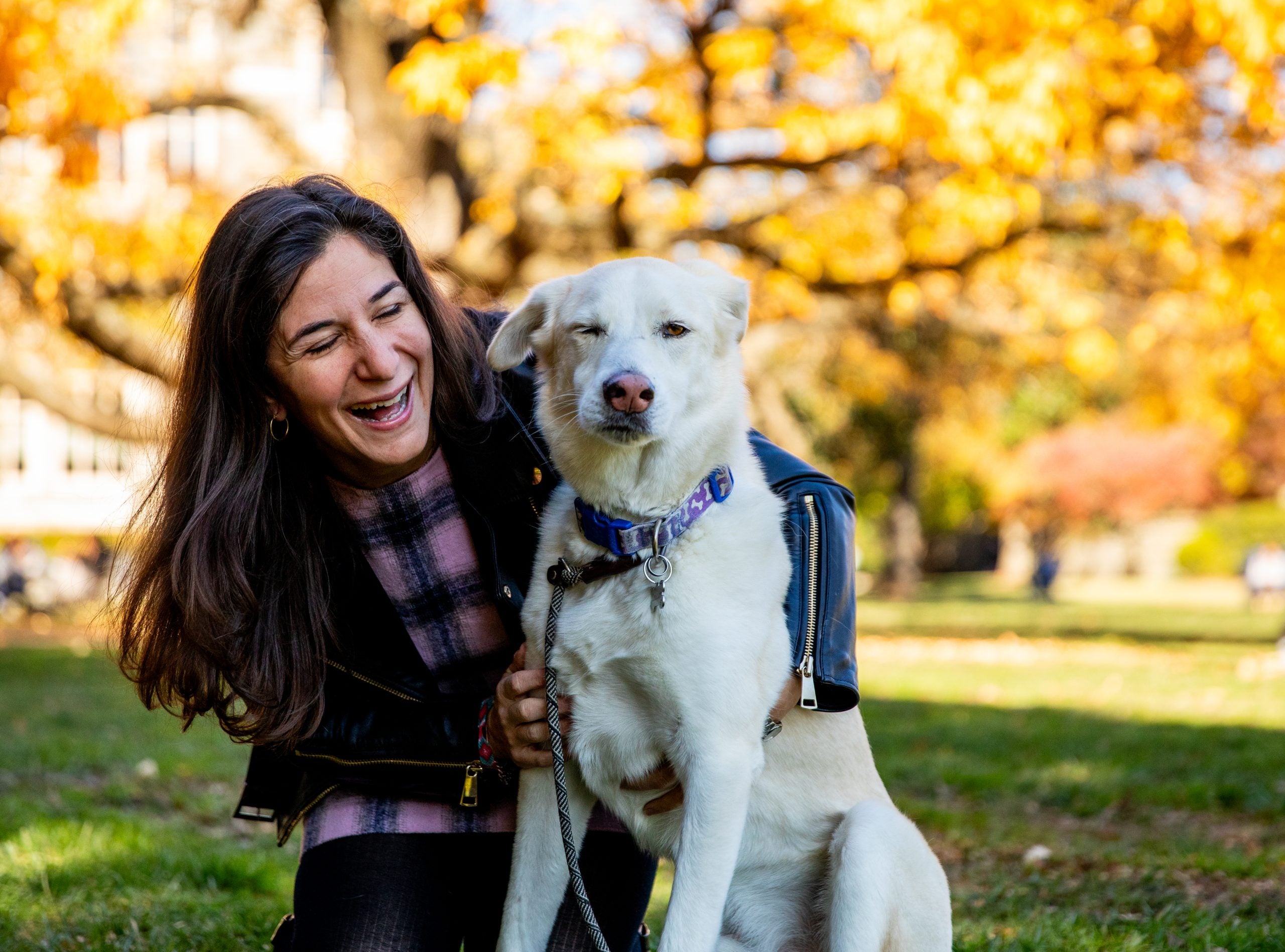 A woman kneeling with her white dog on a fall day