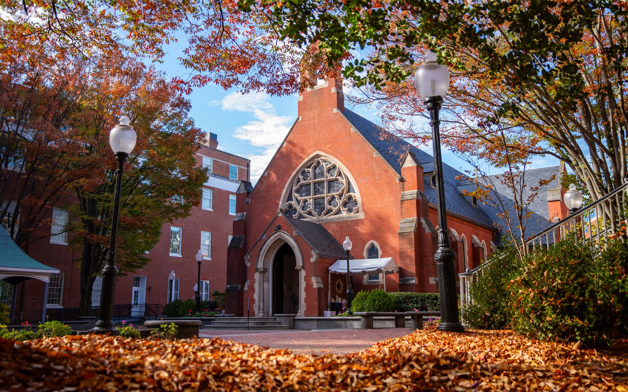 The sun streams through trees onto Dahlgren Quad, with leaves on the ground.