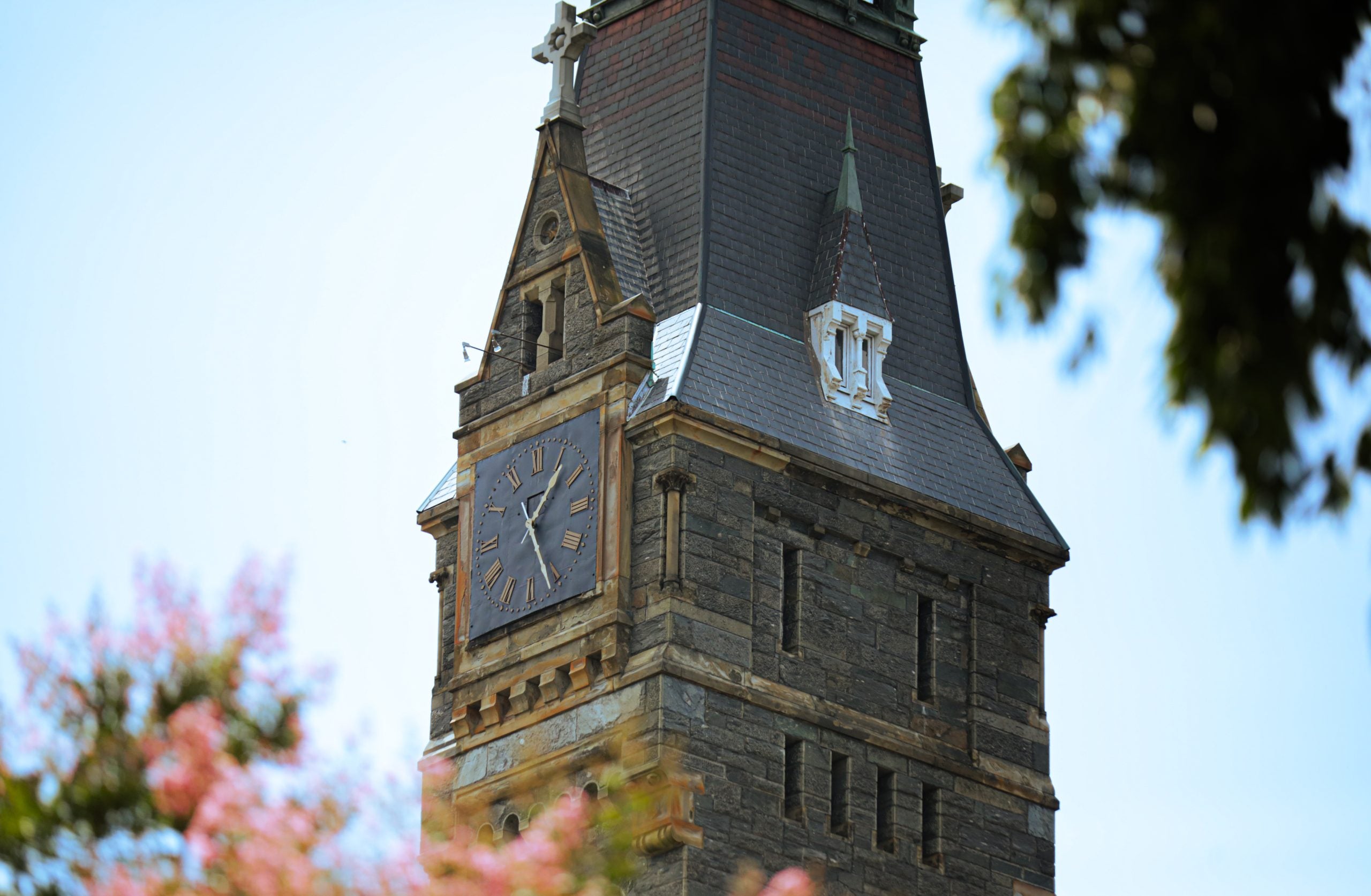 Healy Hall framed by flowering trees on a sunny day