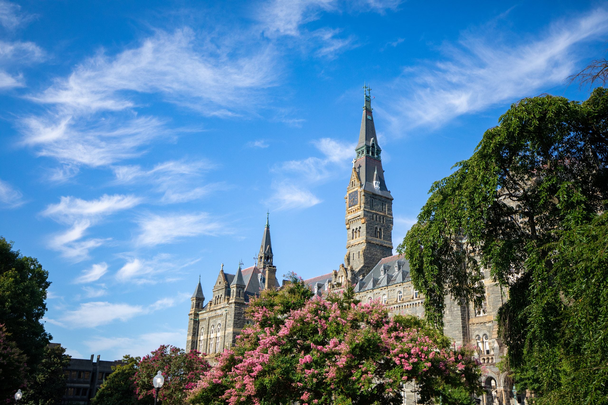 Healy Hall on a sunny day with flowers in bloom