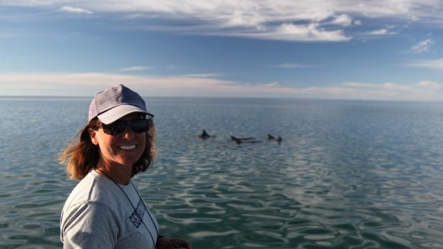 A woman in a white t shirt and hat with the ocean behind her and some dolphins in the water.