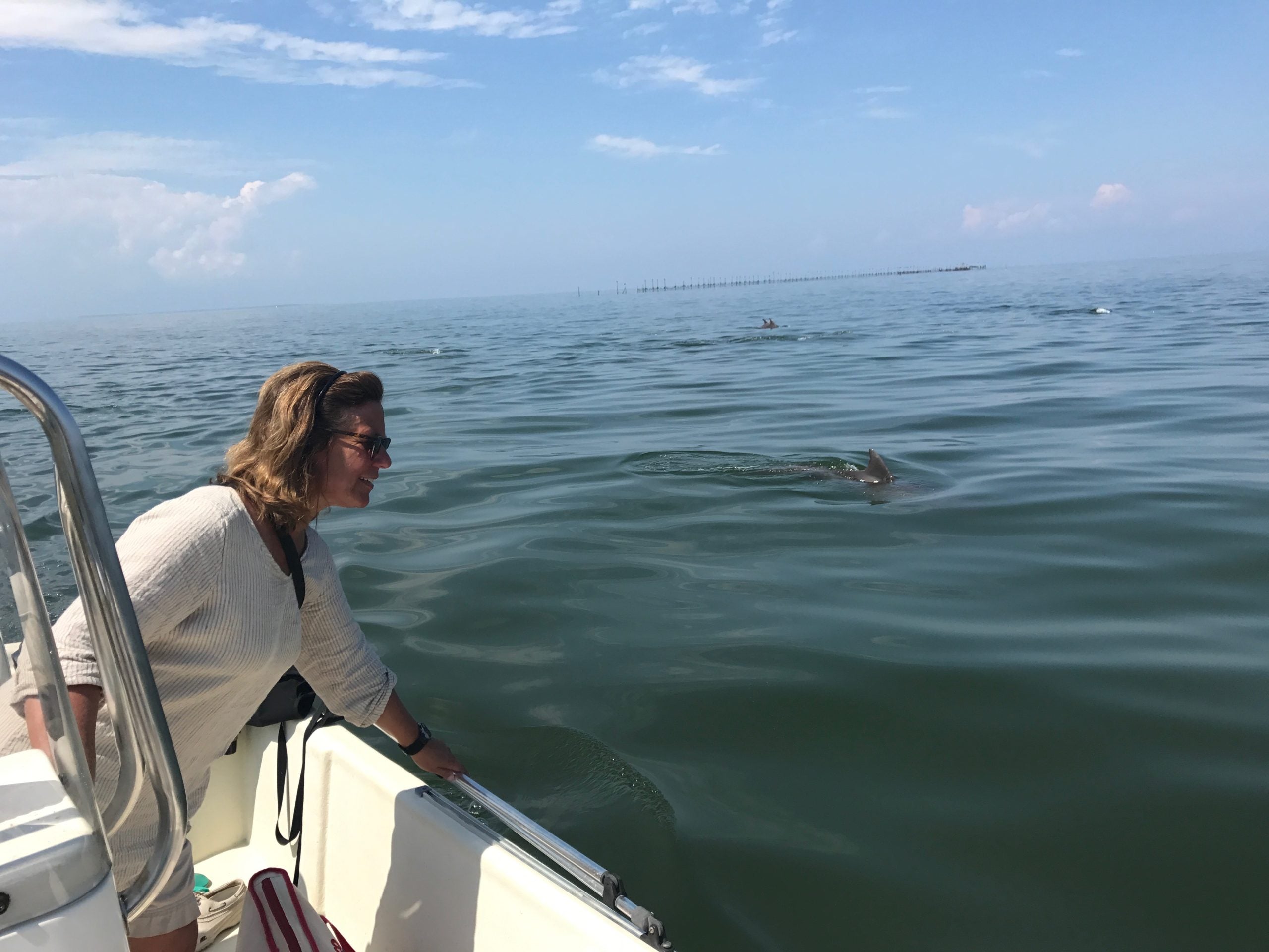 Janet Mann looking over side of a boat with a dolphin swimming nearby