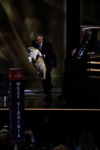 A man in a suit holding up a bulldog