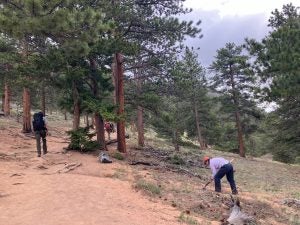 Traxler and her crew clearing drains along a wooded trail