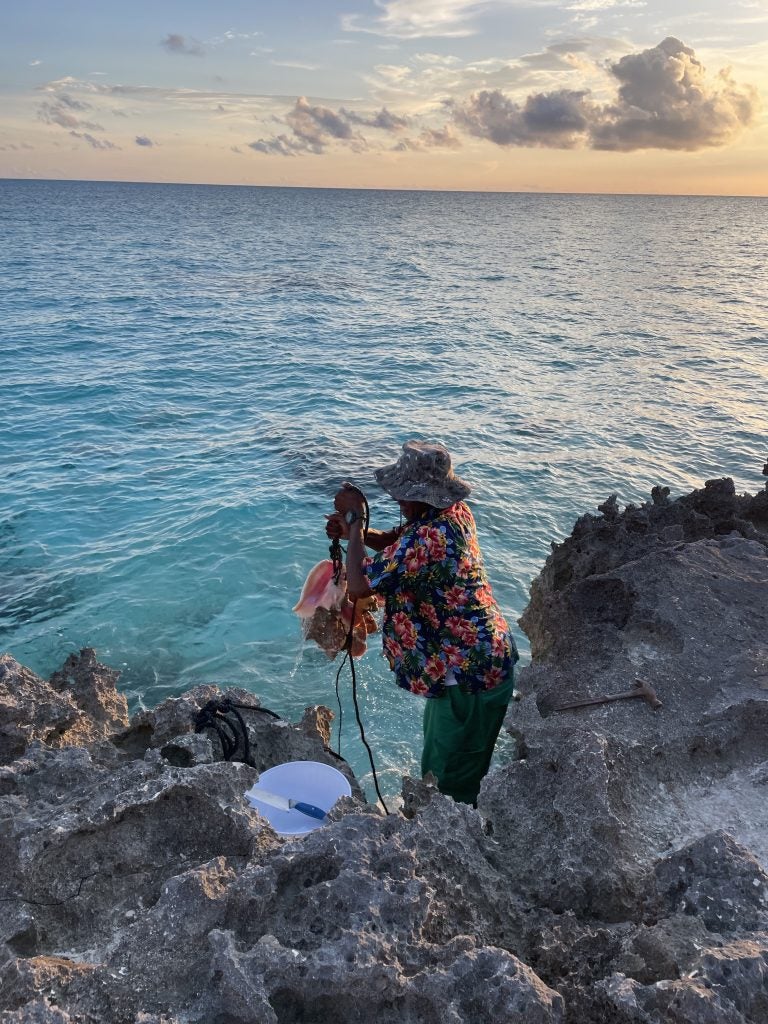 A local in Cat Island fishes conk out of the ocean.