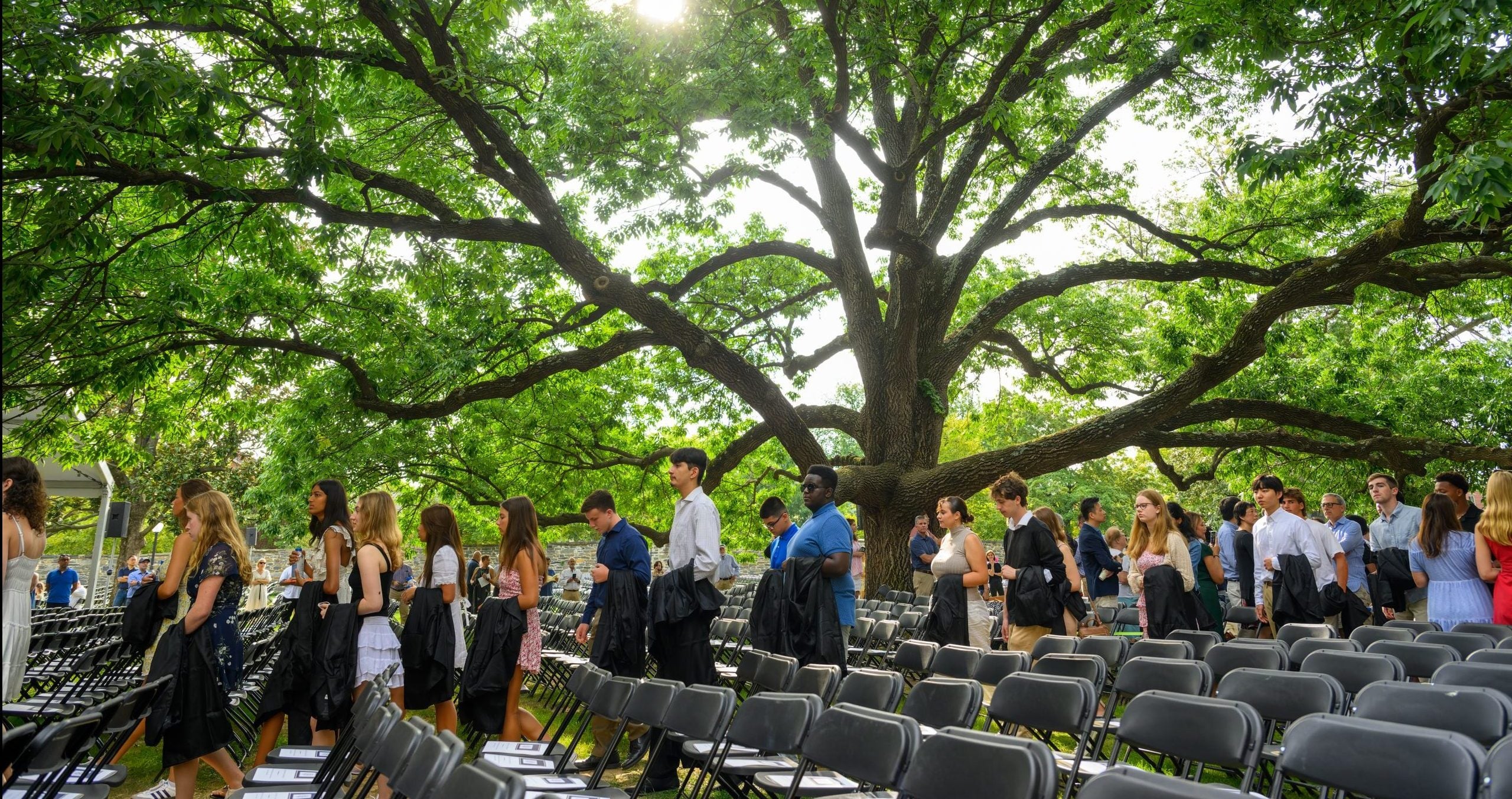 A line of students process in front of a large tree and chairs.