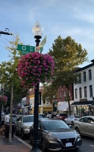 Street sign for O St. in Georgetown