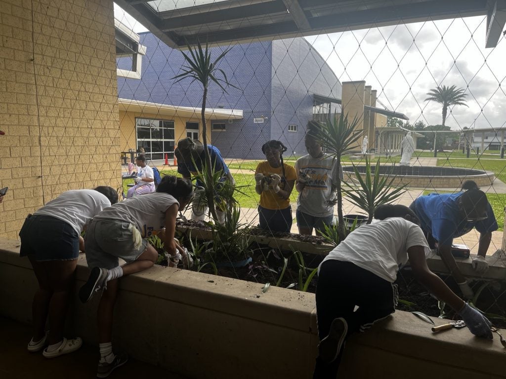 A group of high school students volunteer in a garden.