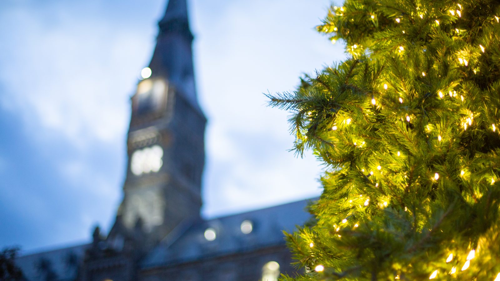 Christmas tree with Healy Hall in the background