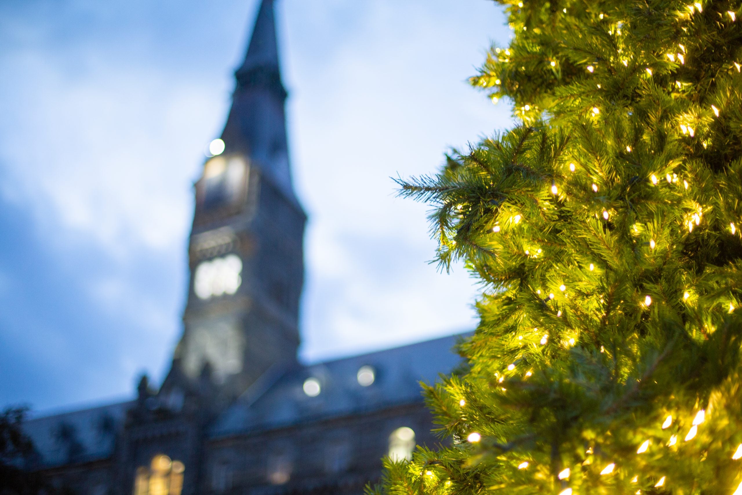 Christmas tree with Healy Hall in the background