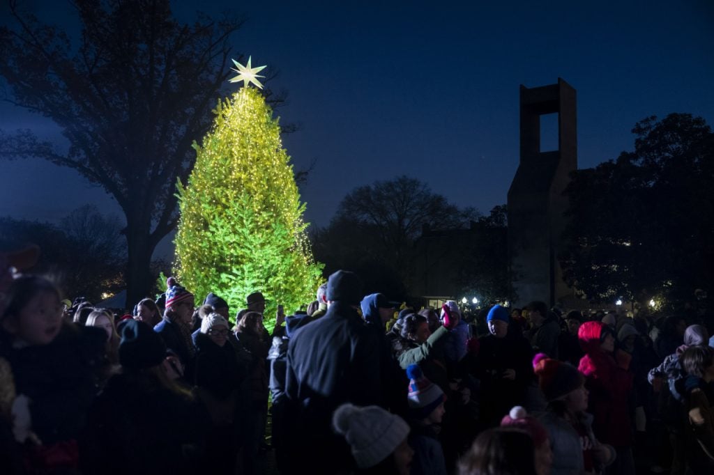 A Christmas tree with a star at the top lit up at night as a crowd gathers around it.