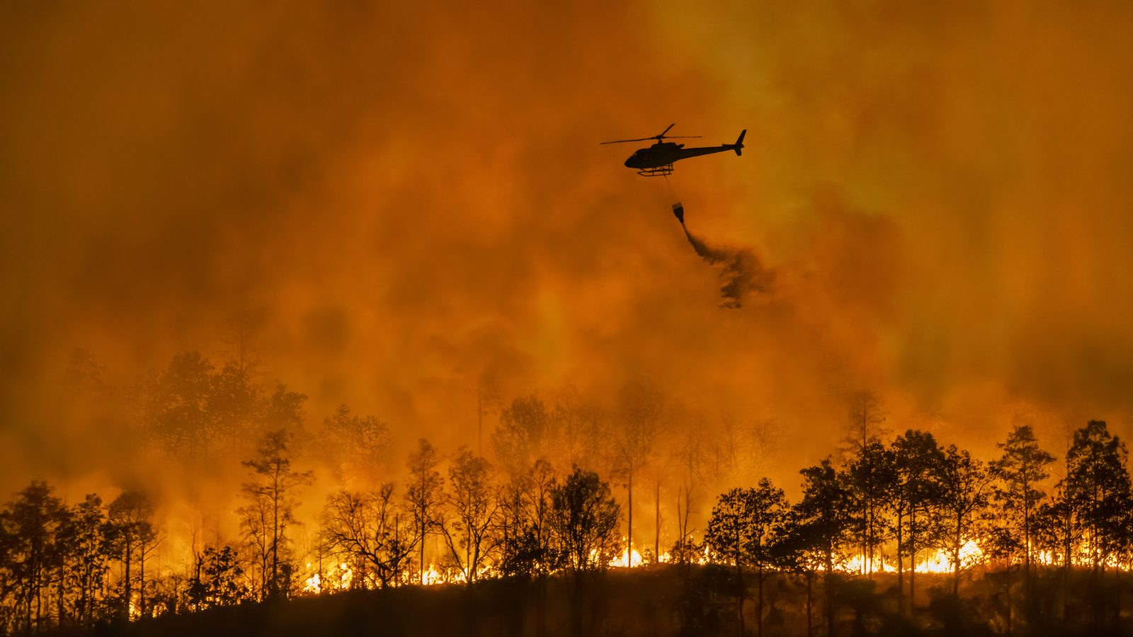 Helicopter pours water over a wildfire