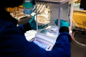 A woman in a blue lab coat with light blue gloves weighs a sample in a bowl in a lab