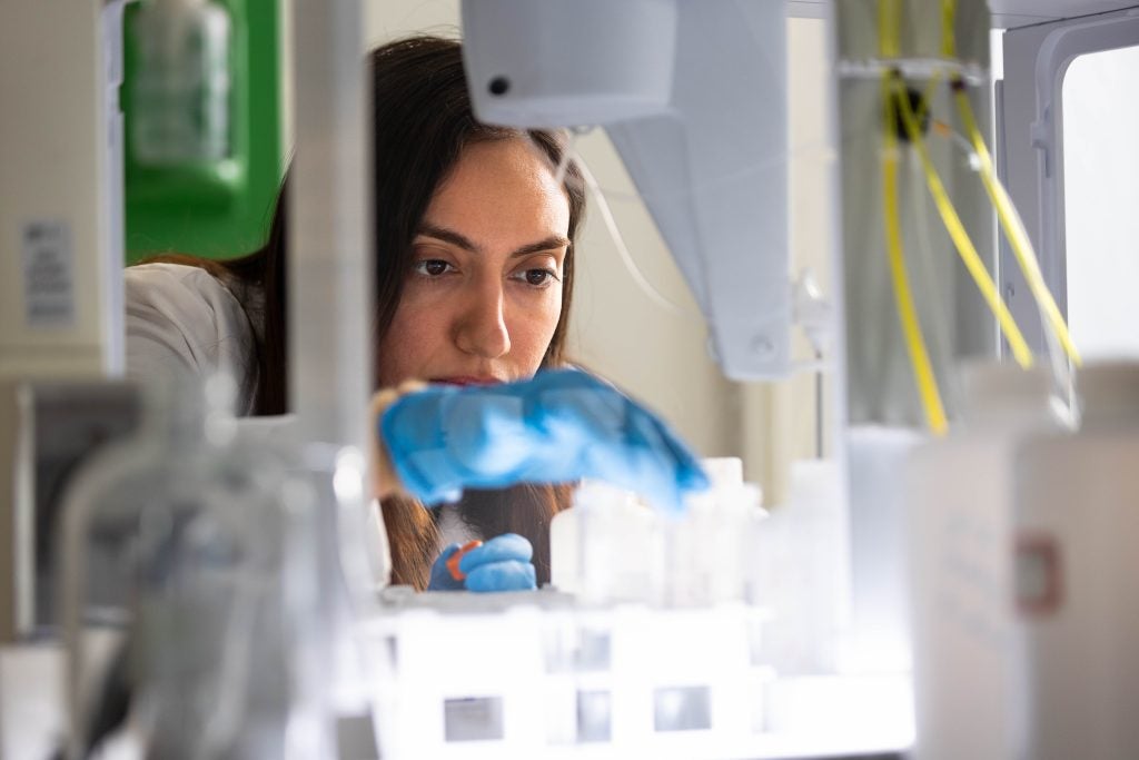 A student looks at samples in a lab.